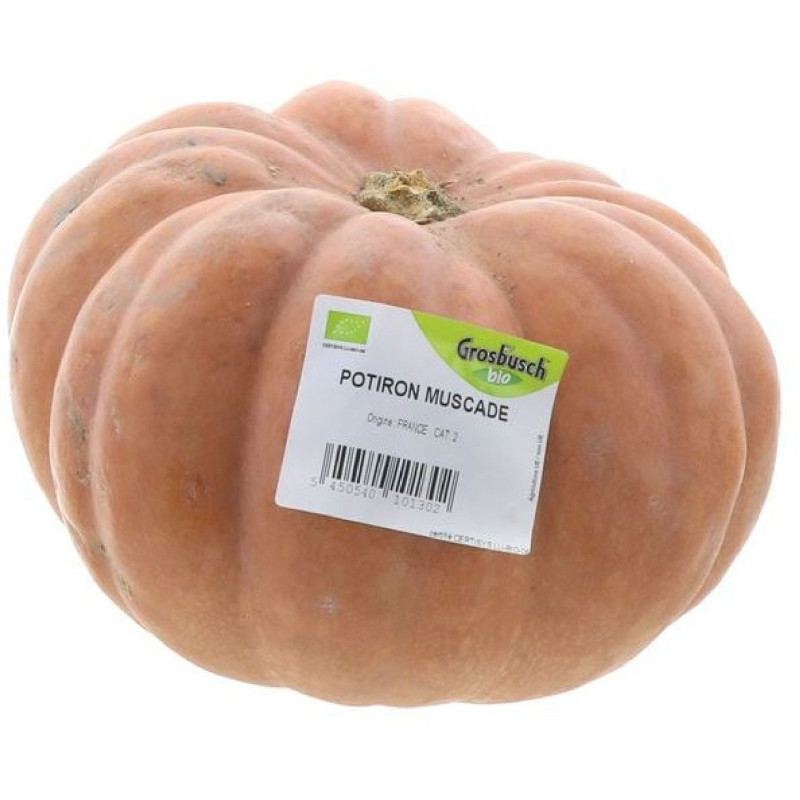 BIO POTIRON MUSCADE 10KG